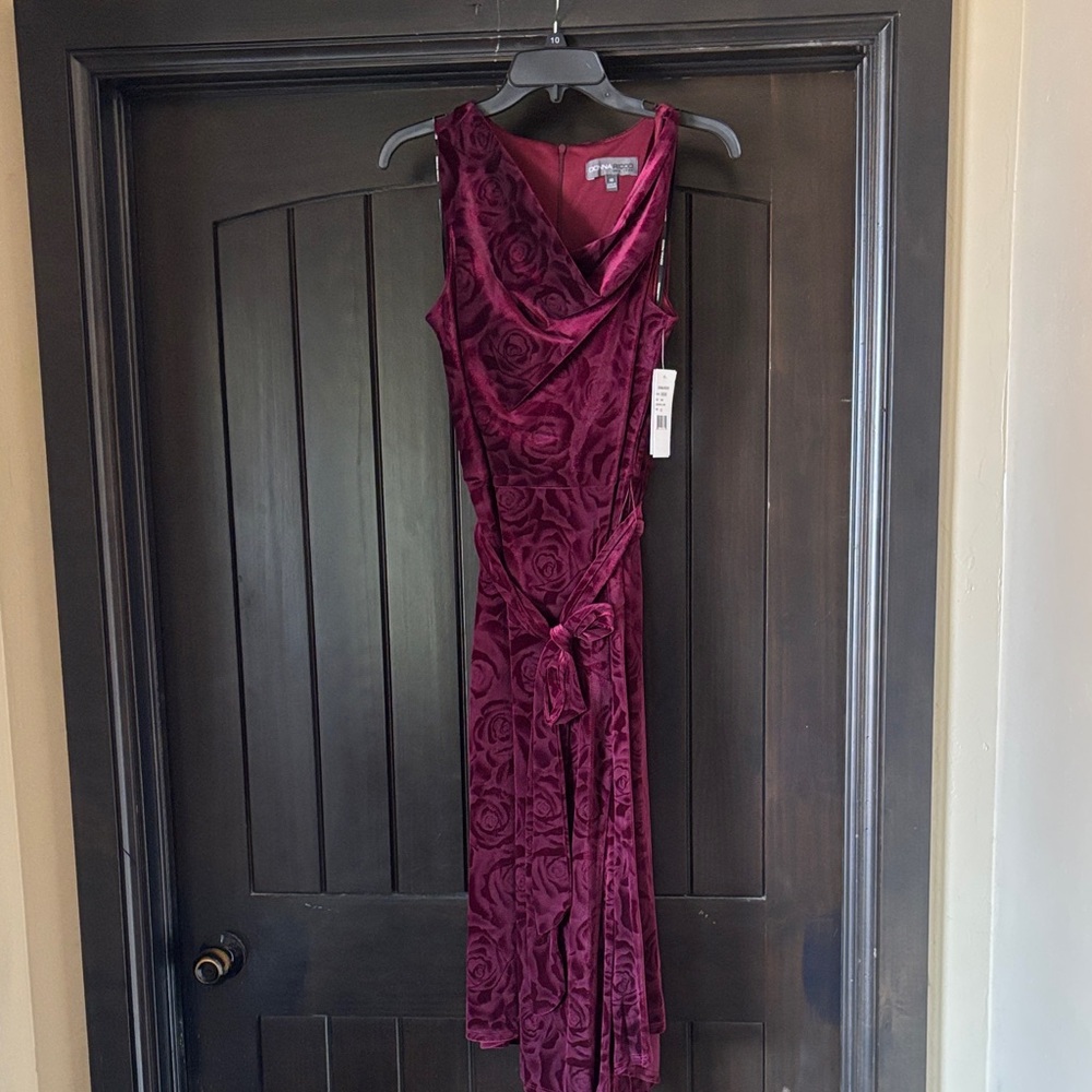 Donna Ricco Velour Sleeveless  Dress